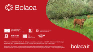 Bolaca i dottori della carne (3)