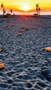 Un mare di zucche