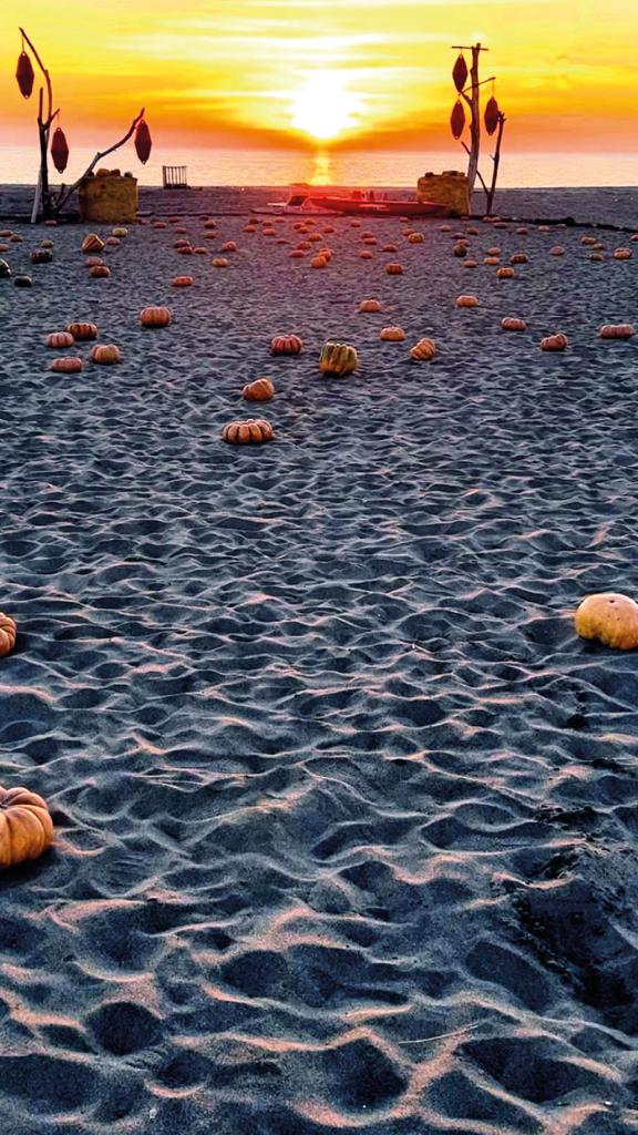 Un mare di zucche
