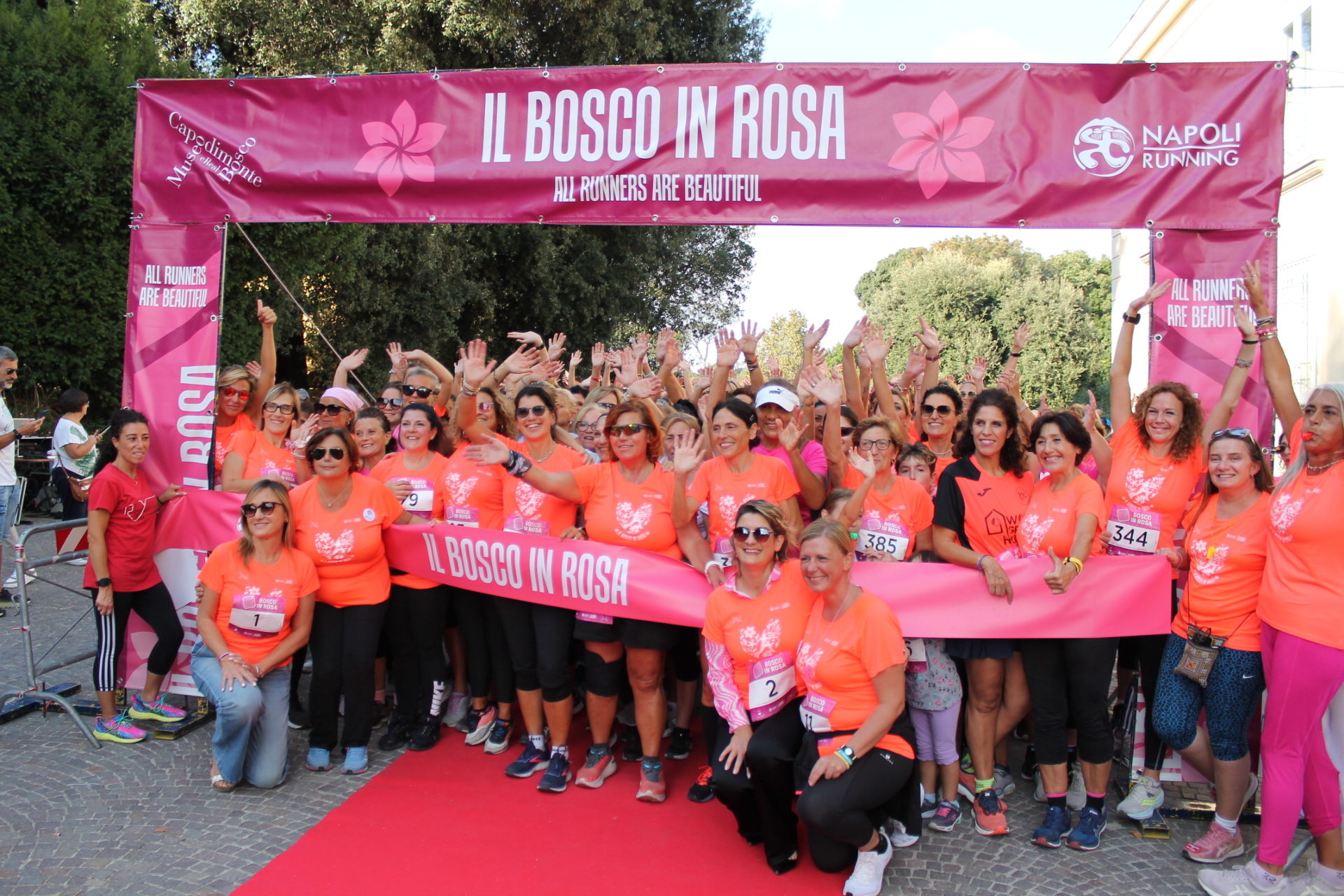 bosco in rosa
