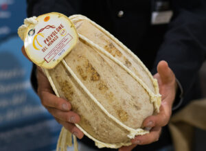 Provolone del Monaco Dop Alta Risoluzione (20)