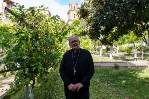 Aversa, VI di Pasqua 2024, Commento Spinillo Stampa