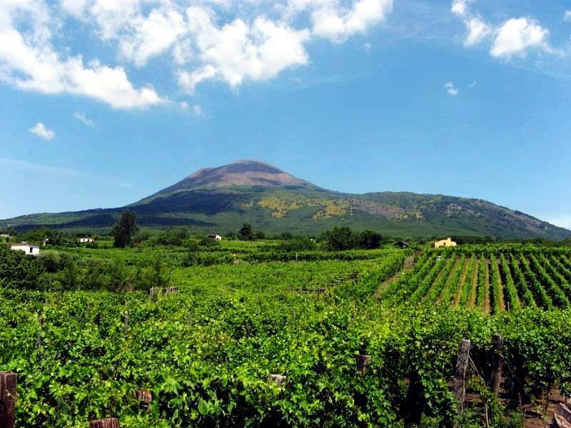 agricoltura Città Metropolitana 2