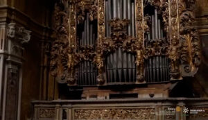 organi3