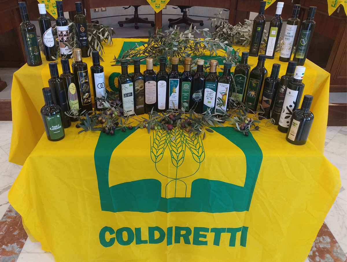 Presentazione Piano Olivicolo Regionale (2)
