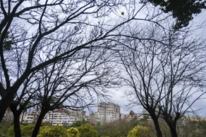 scampia