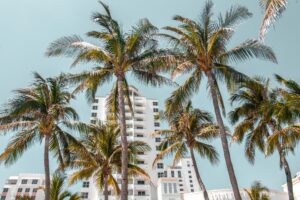 Round 5 - (Miami 2025) (Foto di Kian Lem)