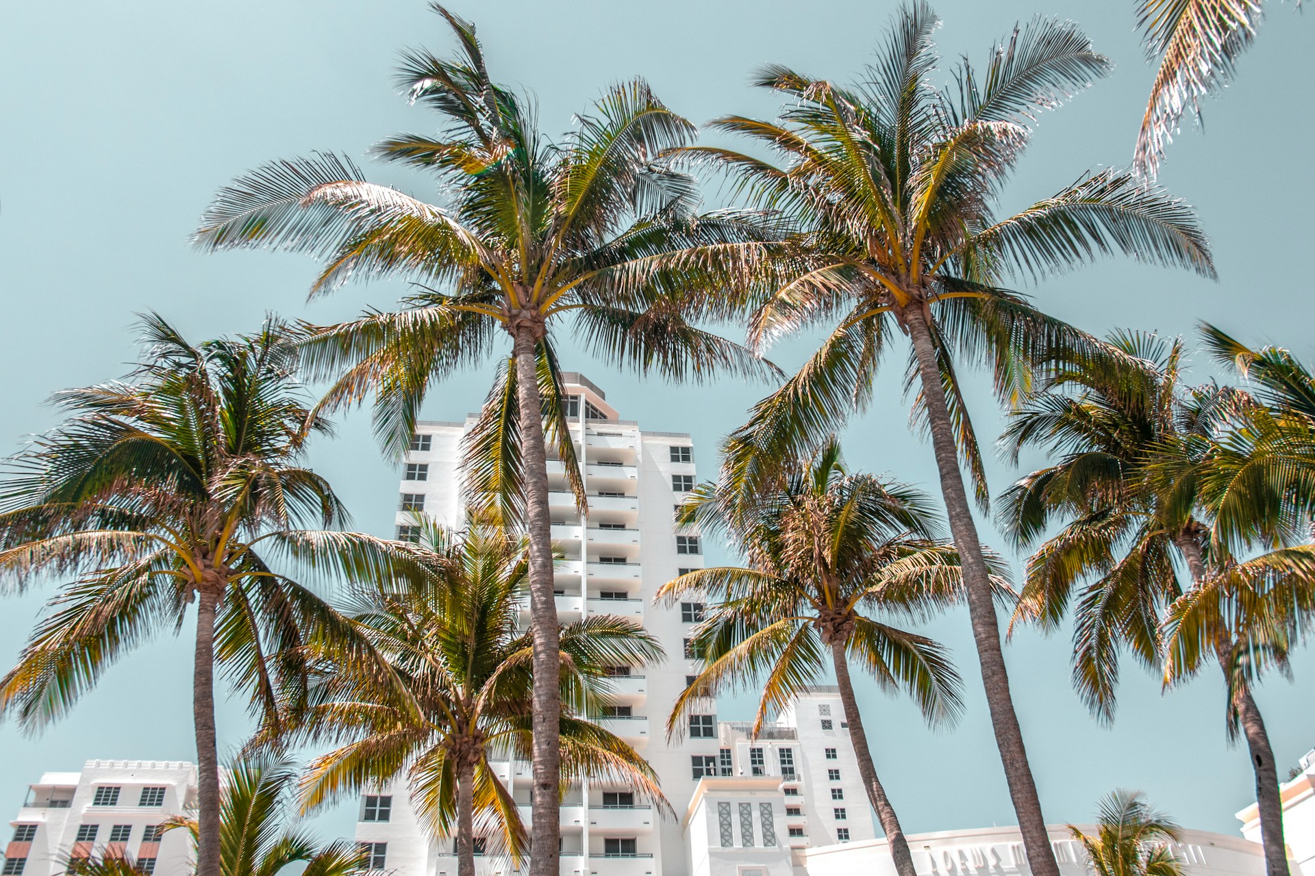 Round 5 - (Miami 2025) (Foto di Kian Lem)