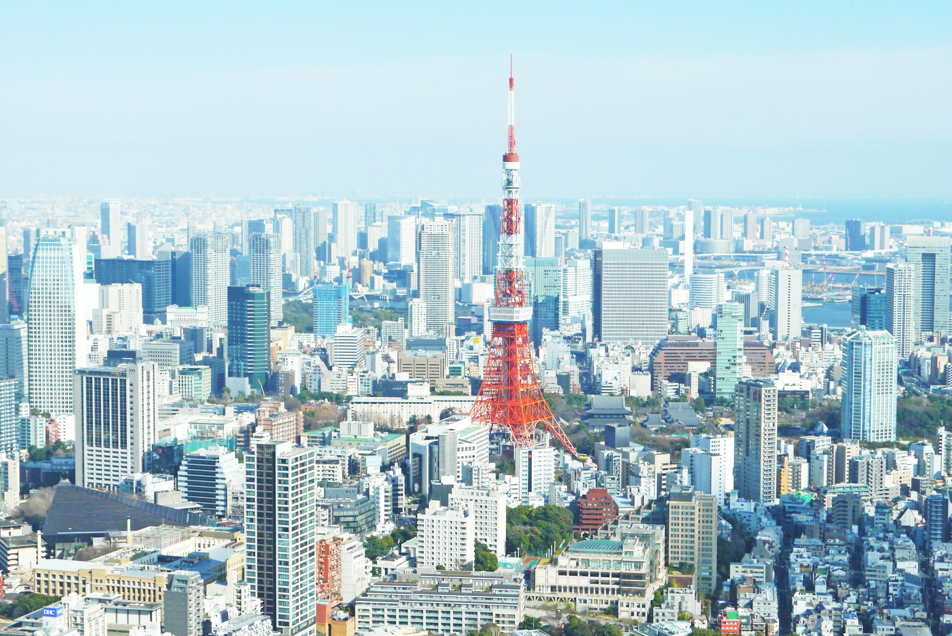 Round 9 (Tokyo 2025) (Foto di Jaison Lin)
