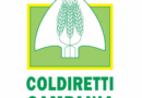 Coldiretti Campania e Brif,  un ponte per aiutare le aziende agricole ad esportare in Cina