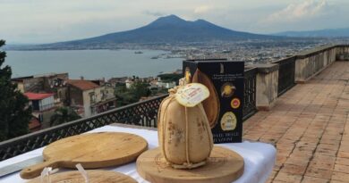 PROVOLONE DEL MONACO DOP: Prodotto di qualità contro le pratiche sleali e il problema dazi