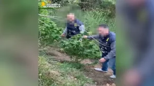 guardia finanza droga
