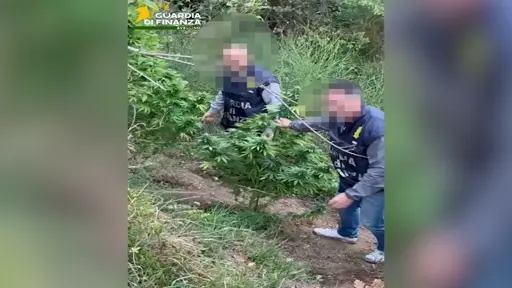 guardia finanza droga
