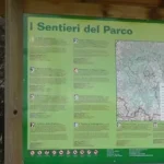 Anziano esce per funghi e muore, forse assalito da animali