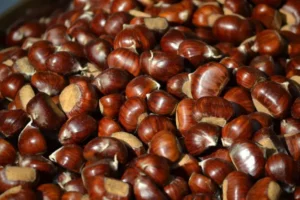 castagne-696x464