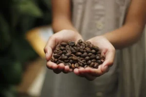 caffe-696x464