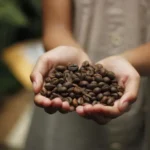 Caffè, Napoli celebra la cultura dell’espresso: arriva la seconda edizione dell’International Coffee Forum