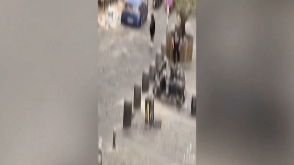 videoframe_4589