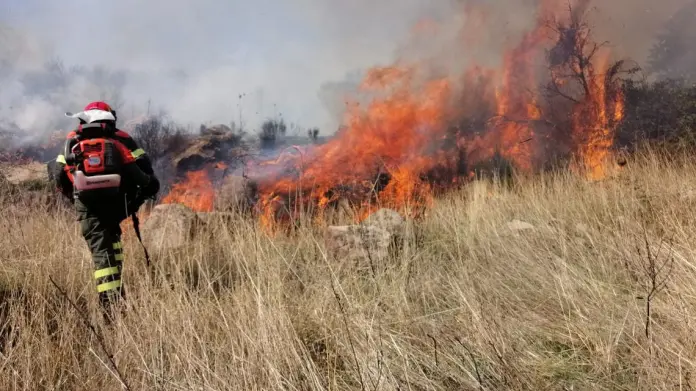 incendio bosco