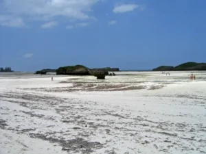 bassa-marea-watamu-kenya-696x522