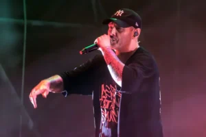 fabri fibra