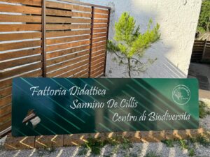 fattoria_didattica